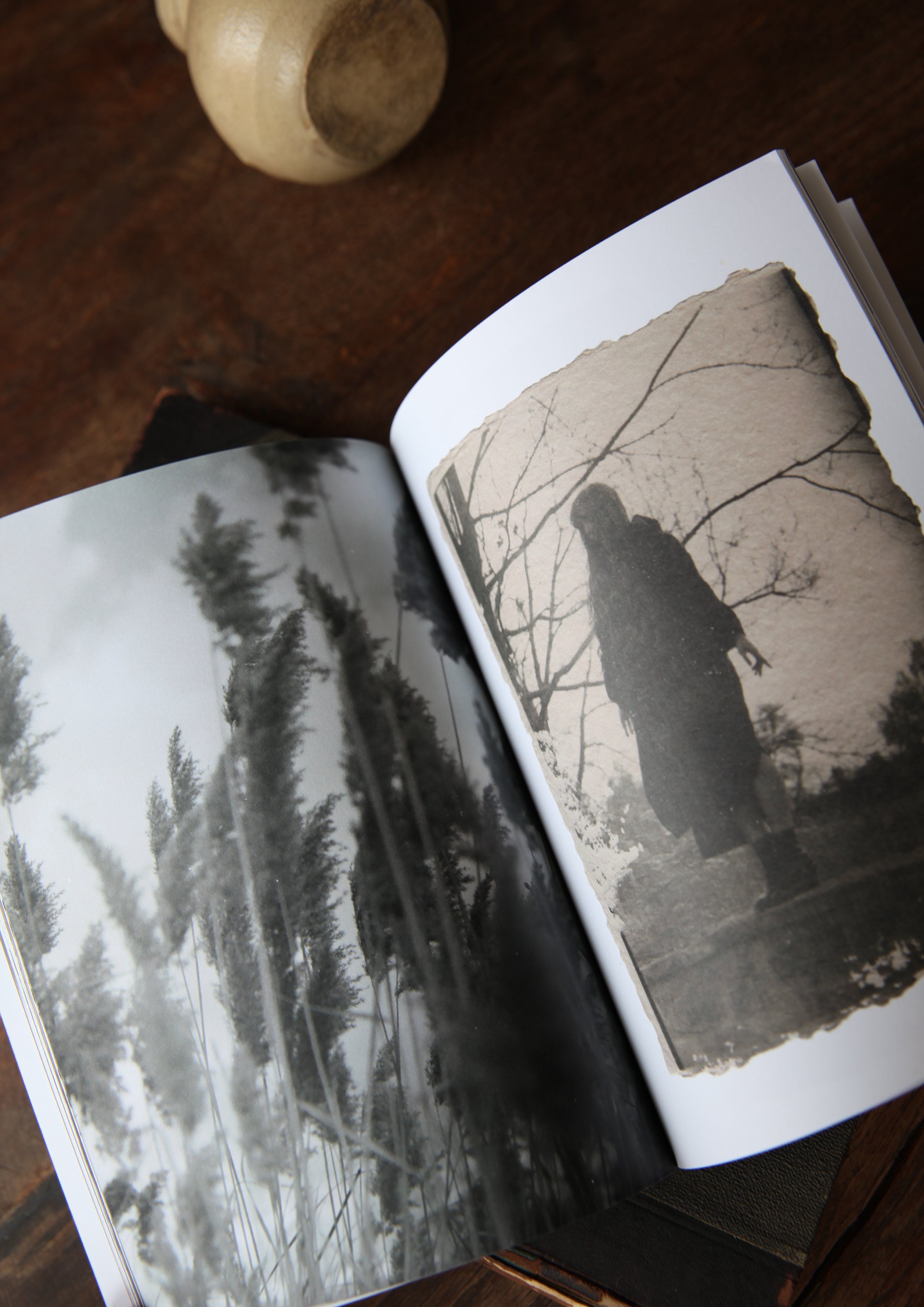 Elle S'éloigne - Livre Photo